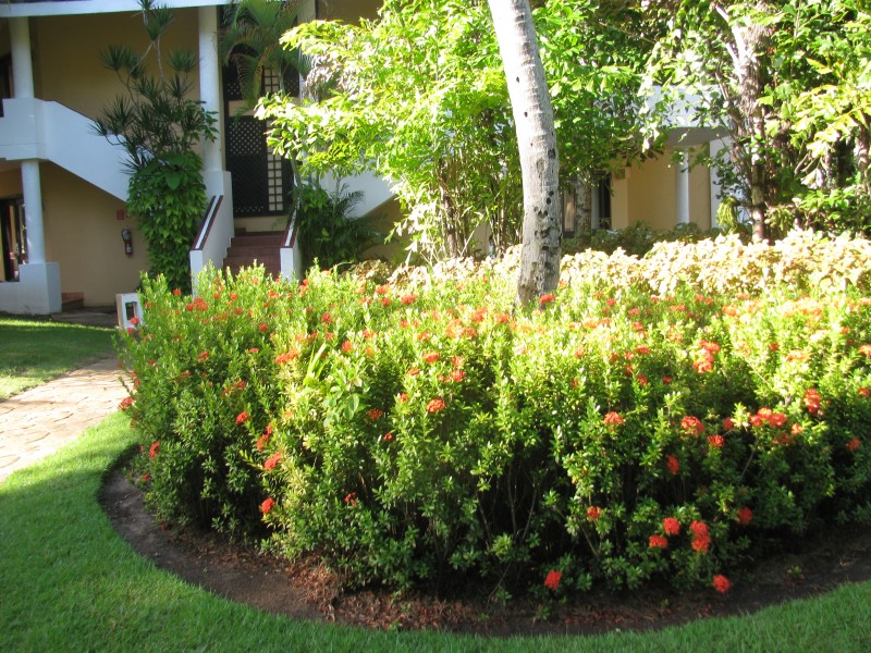 Dominican Republic 271.jpg